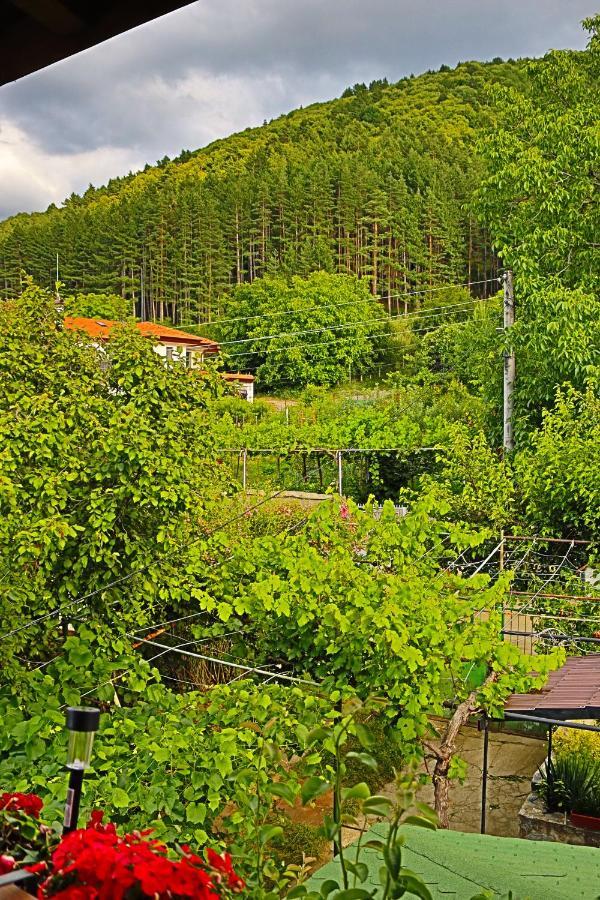 Green House - Попниколови Saparewa Banja Zewnętrze zdjęcie
